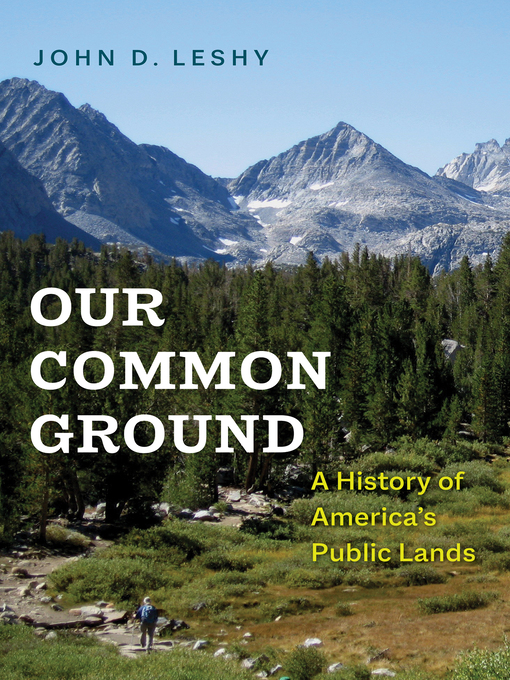Cover image for Our Common Ground